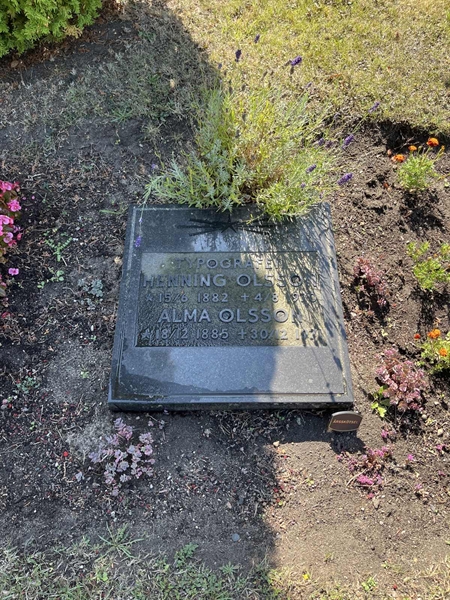 Grave number: NK X:u    51