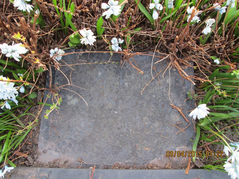 Grave number: TJGL B   101