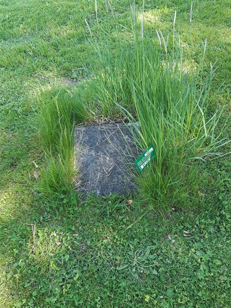 Grave number: NO 06    64