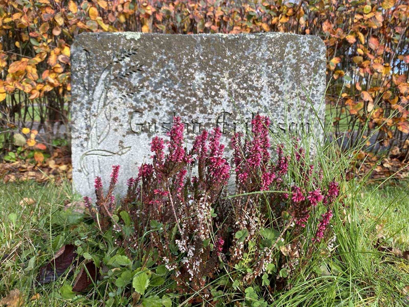 Grave number: 1 24     74