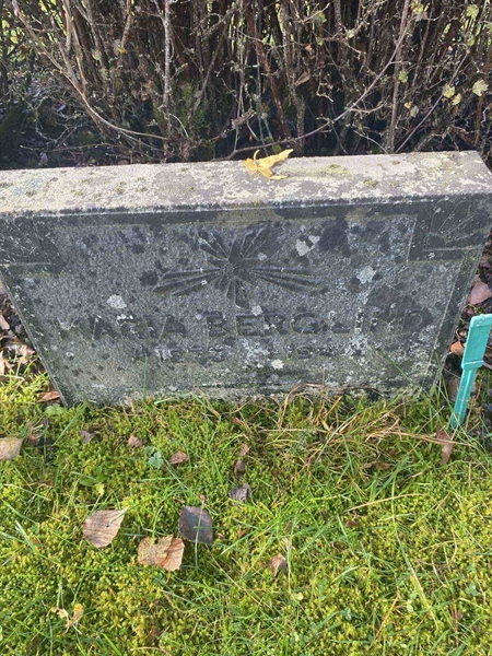 Hautatunnus: 6 04    119