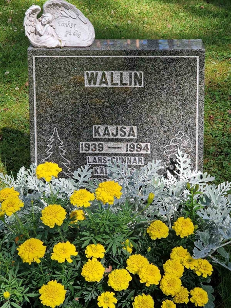 Hautatunnus: 1 KV.8   361