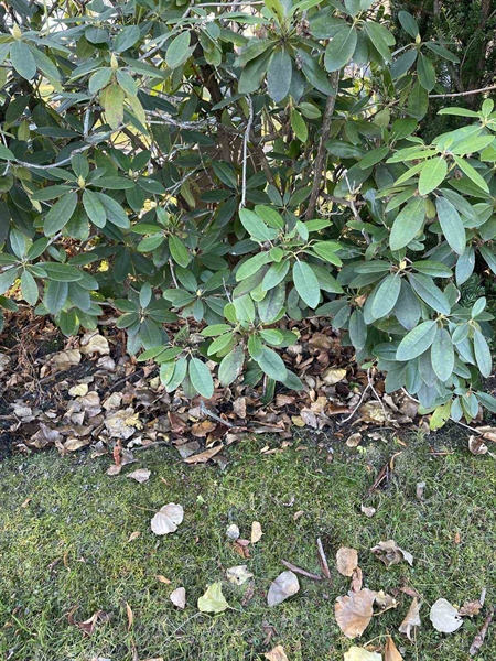 Gravnummer: GK A 3   628