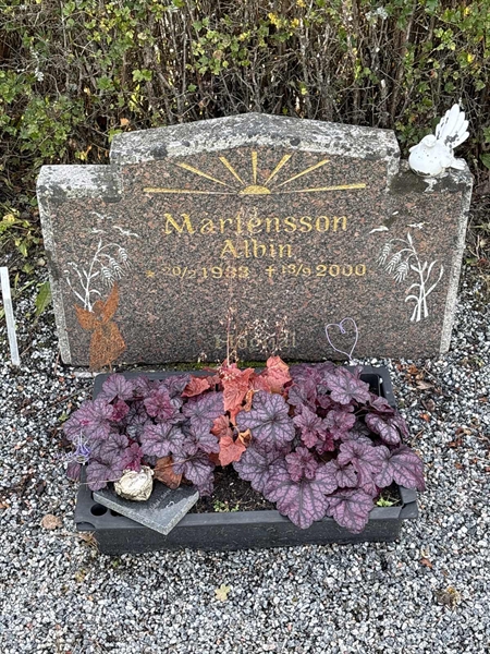 Grave number: 4 N ND   311