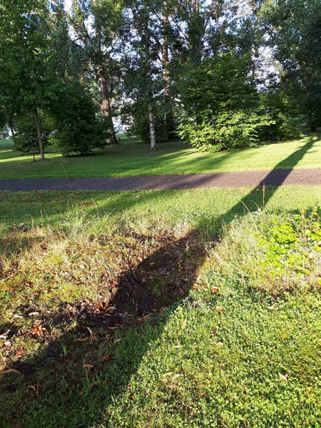 Gravnummer: GK F 4   363B