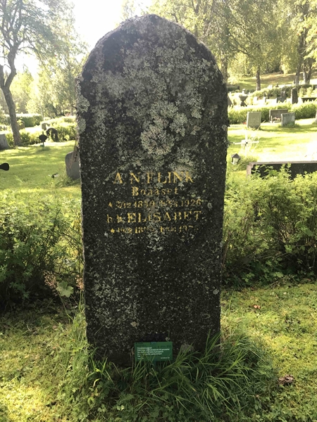 Grave number: UN F   241, 242