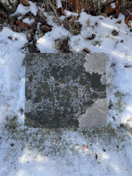 Gravnummer: SJ G    41