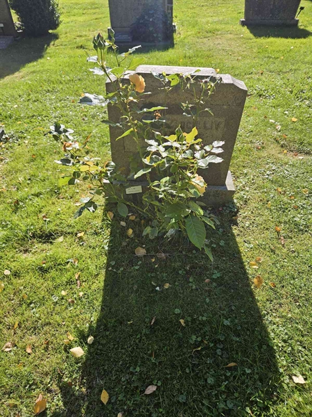 Grave number: Fr 7   129