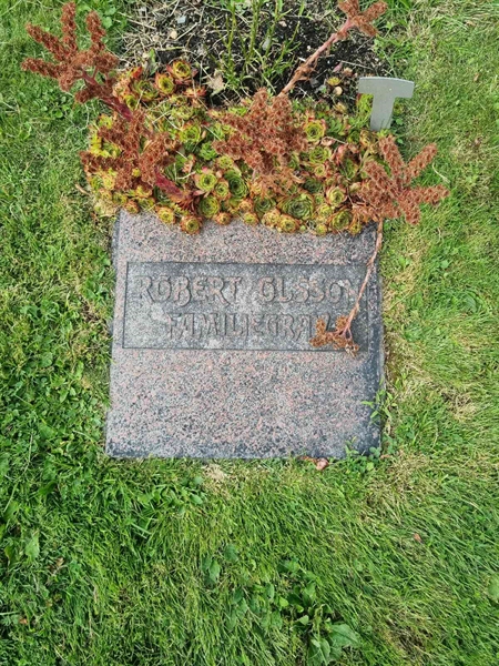 Grave number: 1 01 23