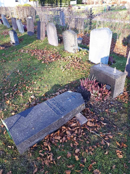 Gravnummer: GK F 3   196