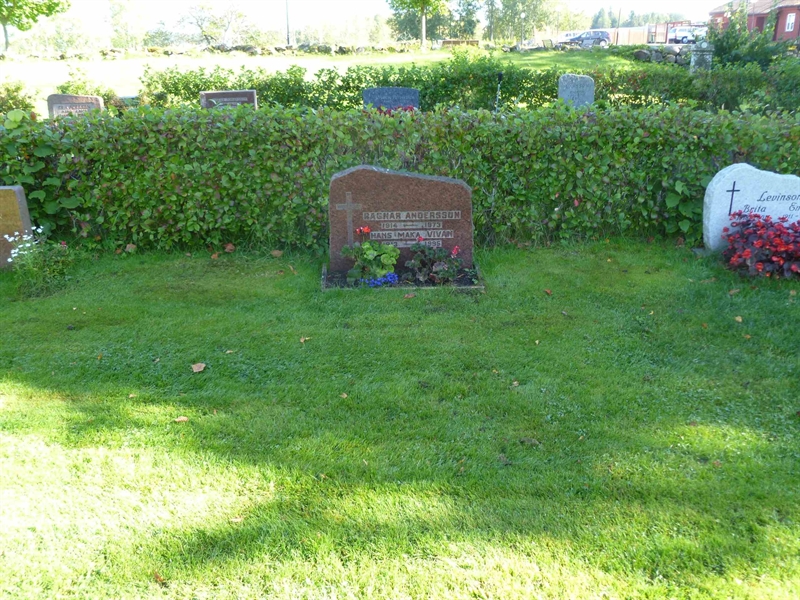 Grave number: ROG D  245, 246