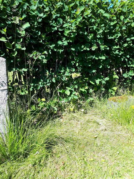 Gravnummer: GK A 5   137V