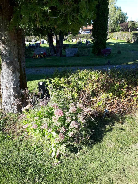 Hautatunnus: NK F B   888-889