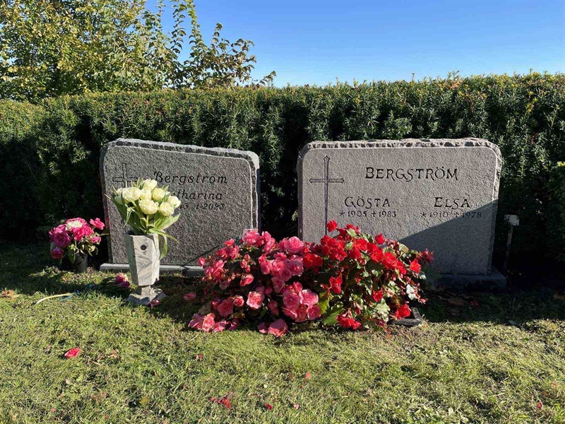 Hautatunnus: Kaga ny    69-70