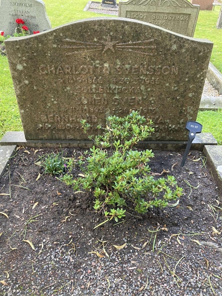 Grave number: 1 03    97