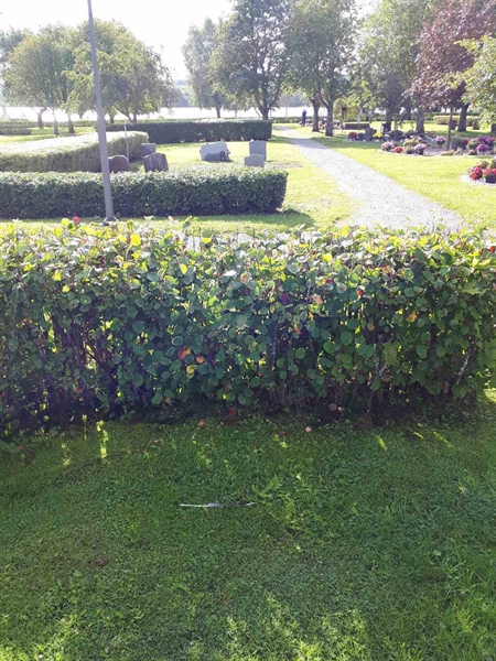 Gravnummer: NK F B    73