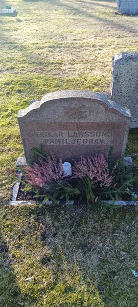 Hautatunnus: 3 Nya E   159-160