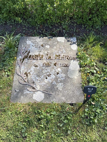 Hautatunnus: 22 A   137