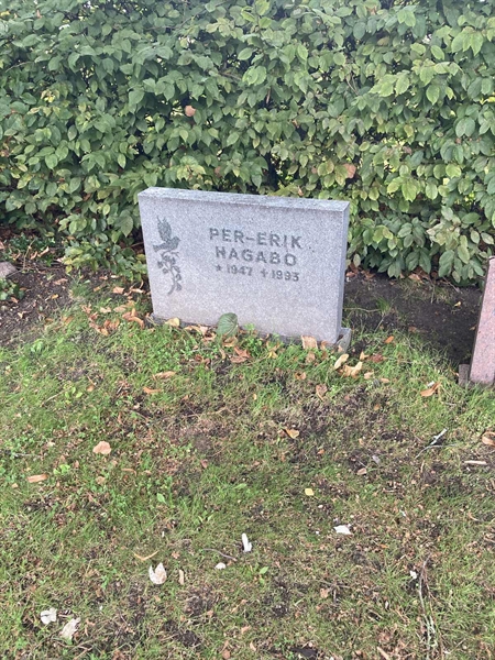 Grave number: 2 N 37-38