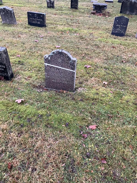 Hautatunnus: H 7   234