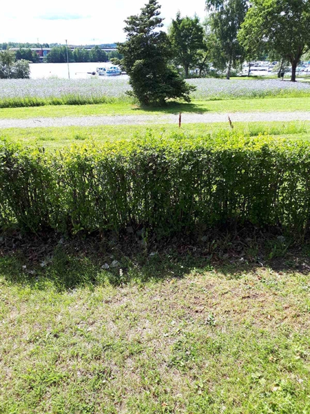 Gravnummer: GK F 5   553