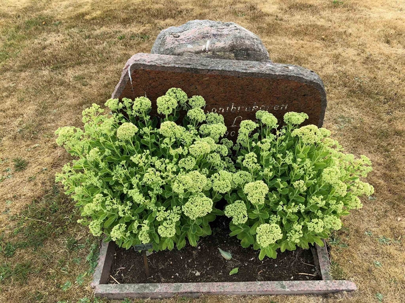 Grave number: Ko 06    21, 22