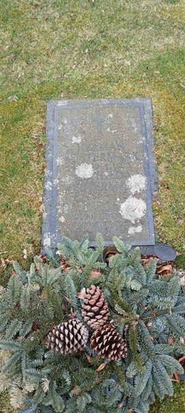 Hautatunnus: 3 Ga C 19-20