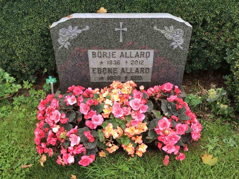 Hautatunnus: Kaga ny    55-56