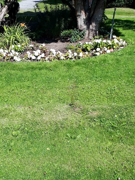 Gravnummer: GK F 5   636KL