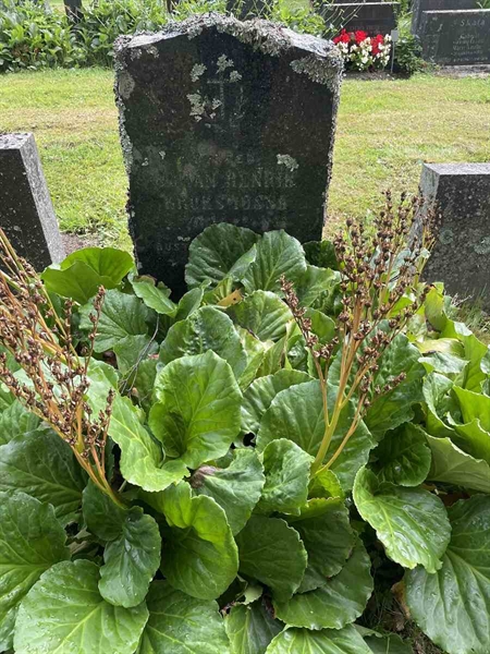 Grave number: N 4 2   254a
