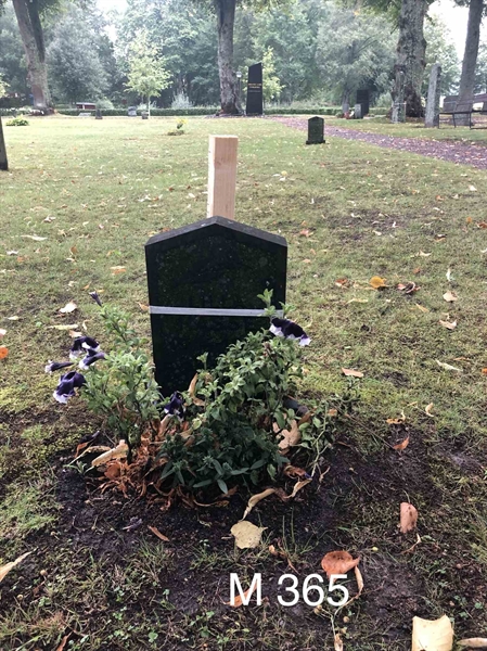 Grave number: AK M   365