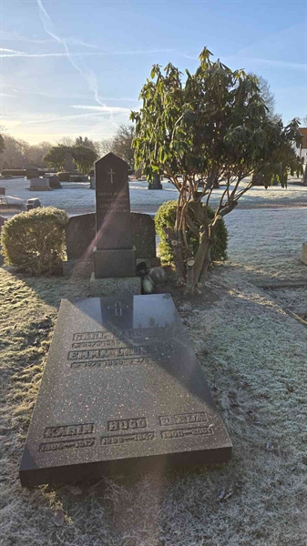 Gravnummer: LM 1 04  009