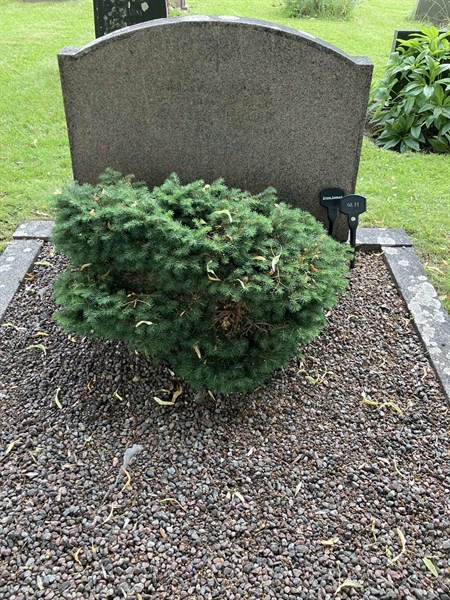 Grave number: 1 02    13