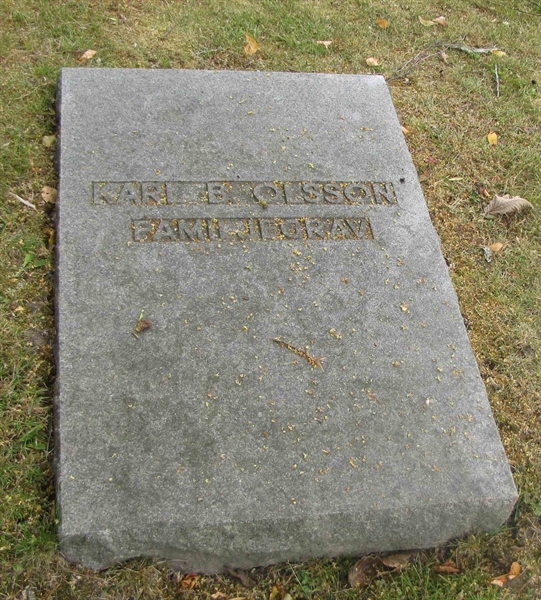 Grave number: FK HÄGG  1503