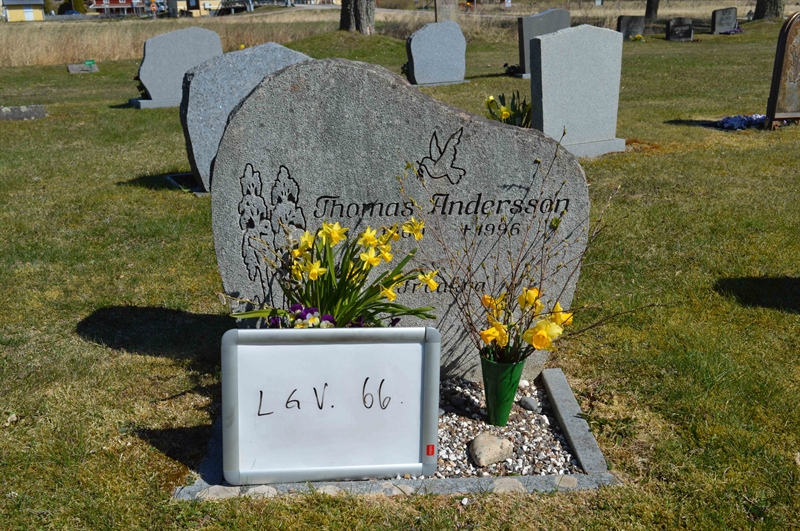 Grave number: LG V    66
