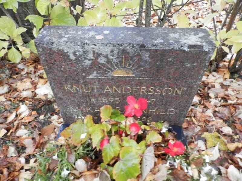 Grave number: 1 1  2023