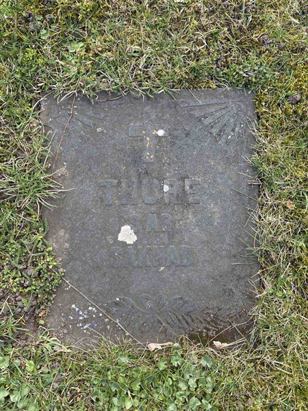 Gravnummer: LI   292