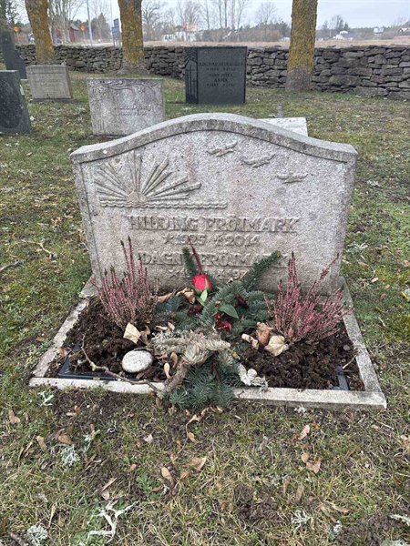 Gravnummer: LE   464, 465