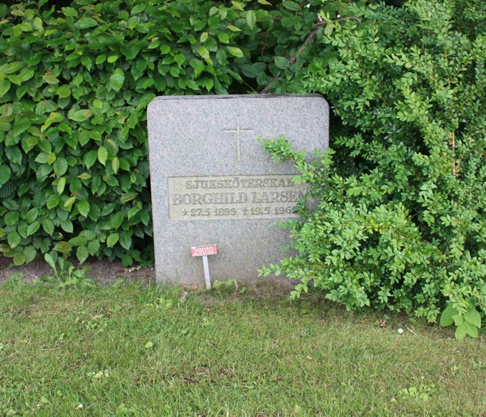 Grave number: Ö 29    16