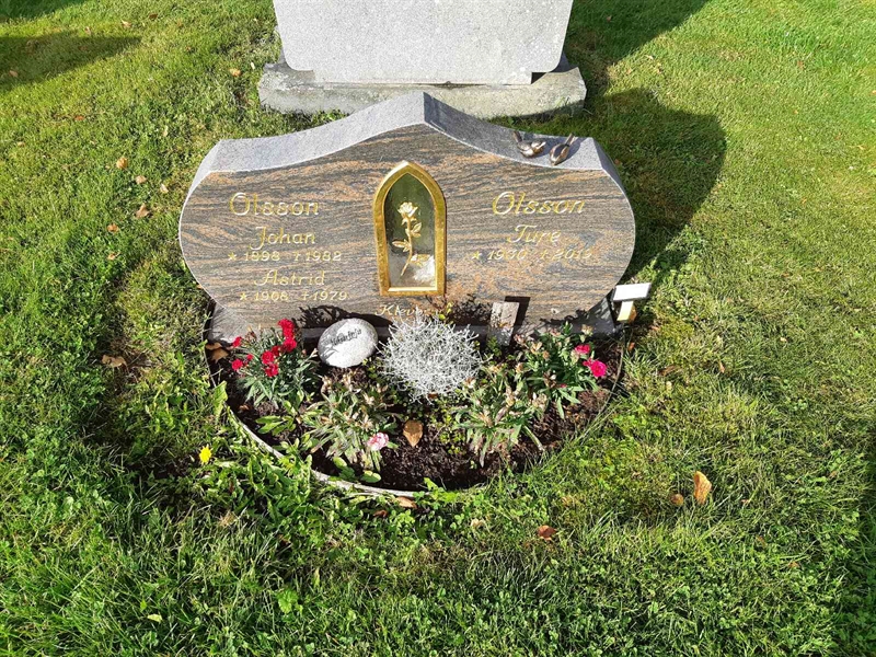 Hautatunnus: Fr 8   478-479