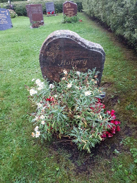 Hautatunnus: NK F D   232