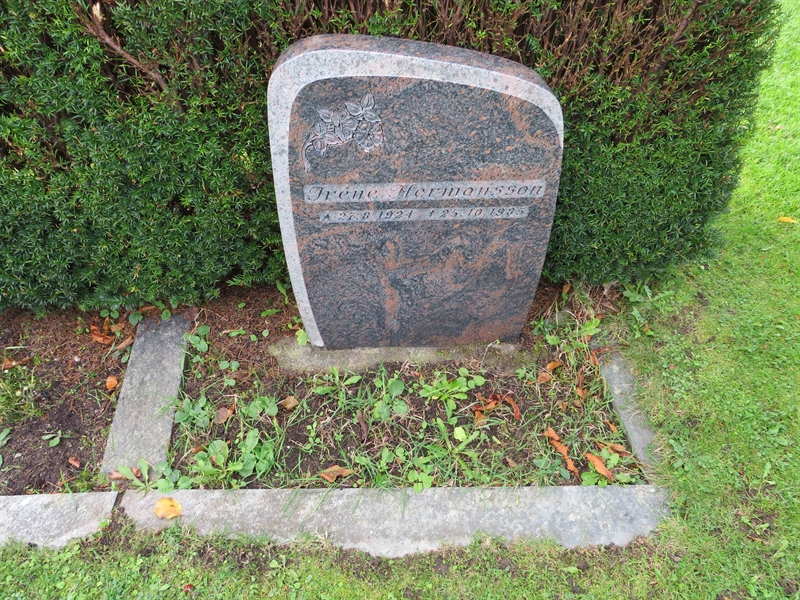 Grave number: 1 07   31