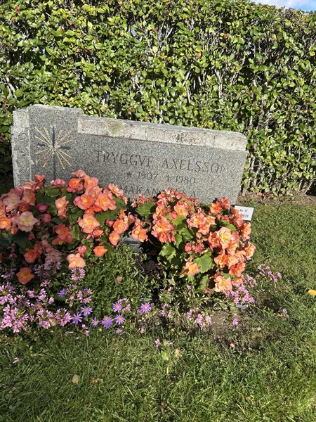 Gravnummer: kö 01 17   222-223