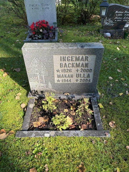 Gravnummer: 30ST HÄGG    10