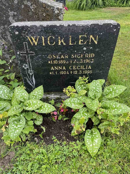 Hautatunnus: N 4 4   637a