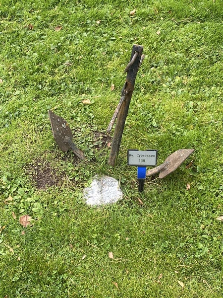 Hautatunnus: 2 C   139