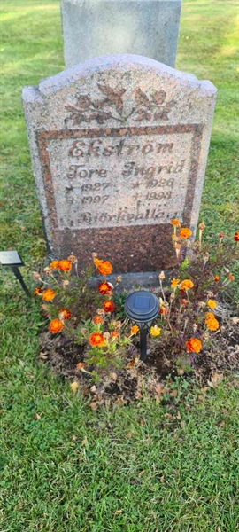 Grave number: M 14  115
