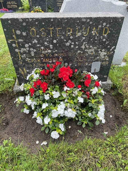 Hautatunnus: N 4 4   626