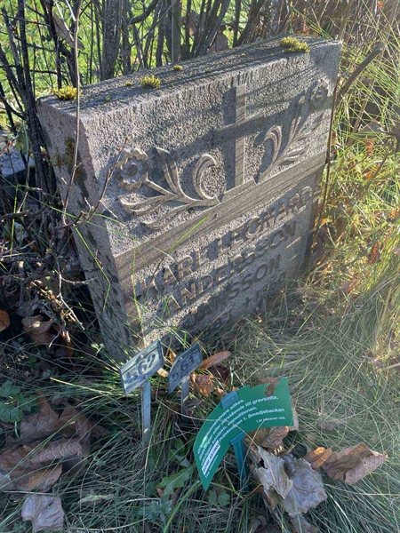 Gravnummer: GK A 3   561