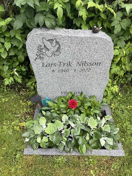 Gravnummer: Sä KV 07     6